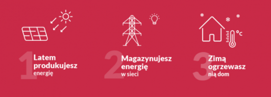 zdj3 zdj3