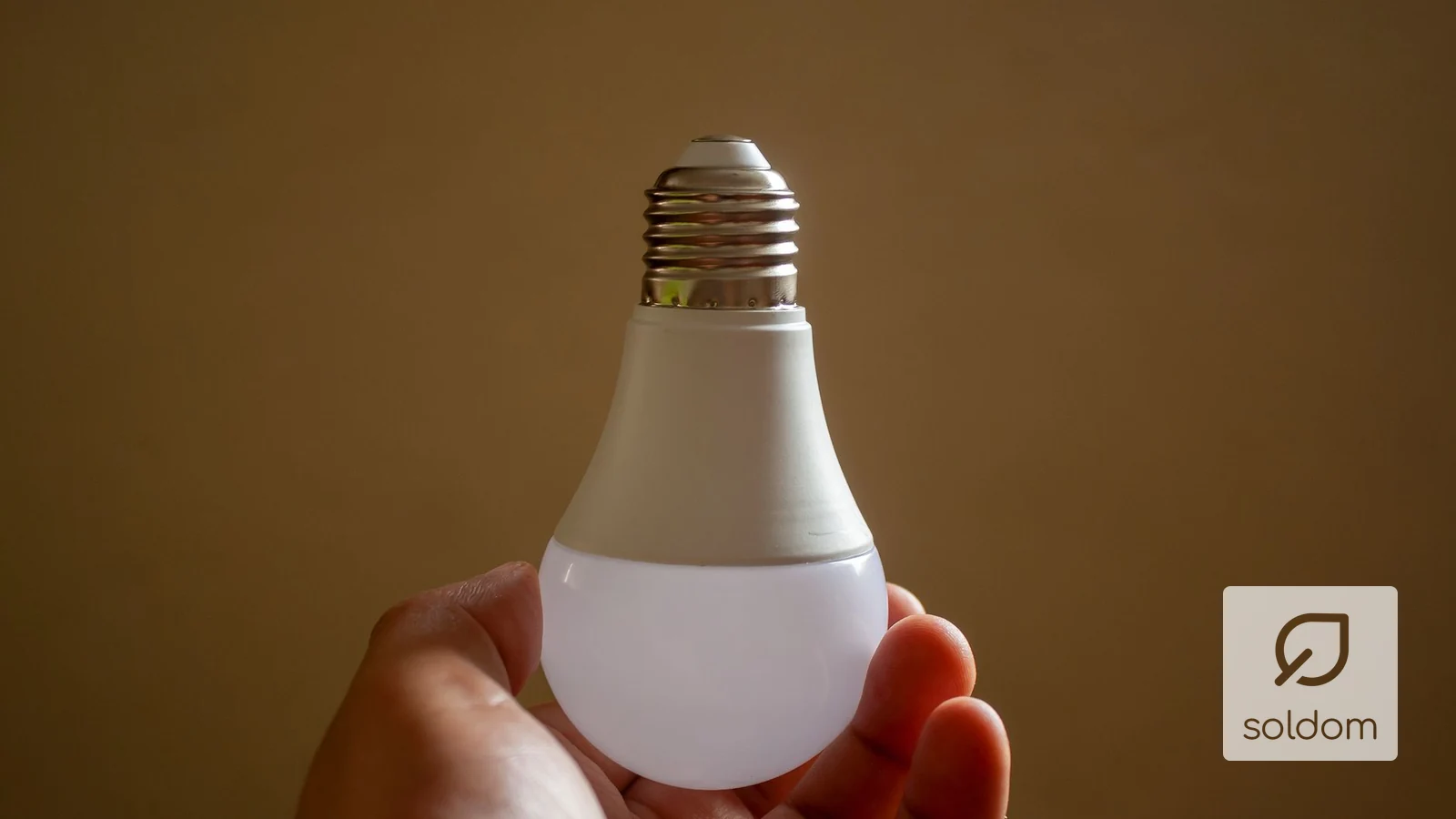Dłoń trzymająca energooszczędną żarówkę LED