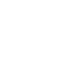 soldom logo białe